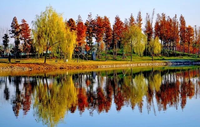 北京不只有高楼大厦还有烟火气,北京理工大学到底有多低调