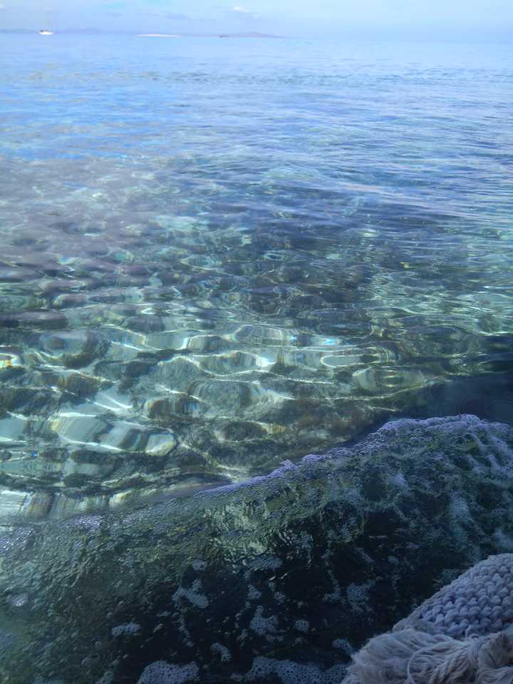 汤加和斐济哪个国家大,斐济国家主产什么