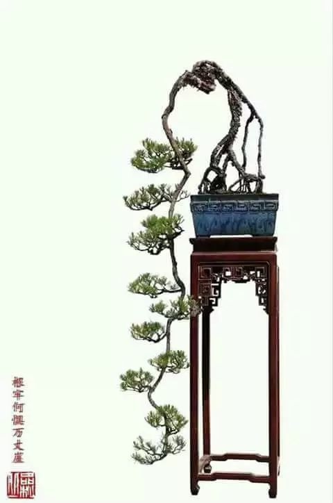 大师是怎么炼成的免费,真正的大师是怎么练成的