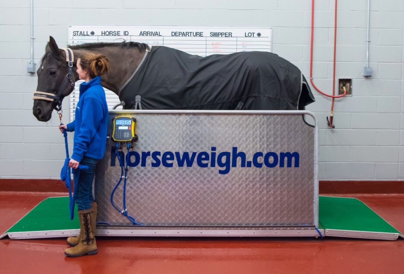 当狗炫起富来根本没人什么事儿了