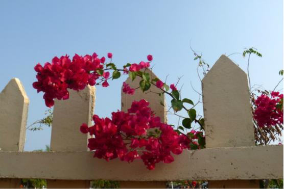 三亚吃喝玩乐亲身攻略