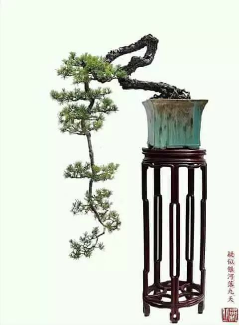 大师是怎样炼成的二胡独奏,真正的大师是怎么练成的