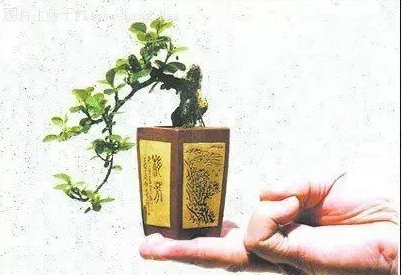 大师是怎么炼成的免费,真正的大师是怎么练成的