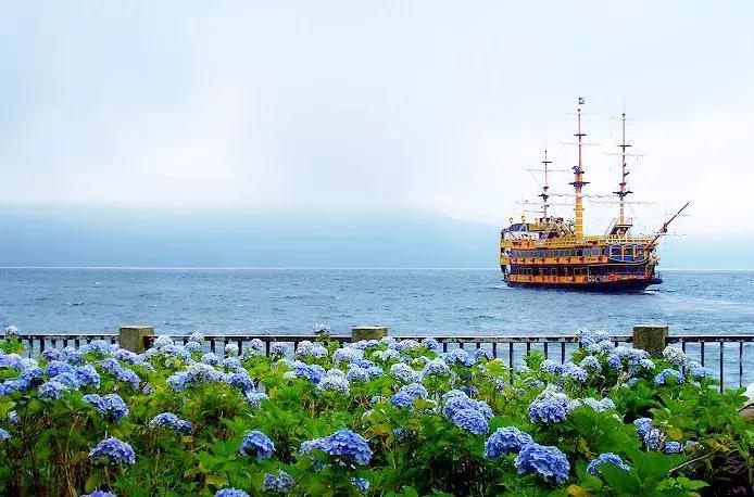 河津赏花一日游最佳去处,日本河津早樱最佳季节
