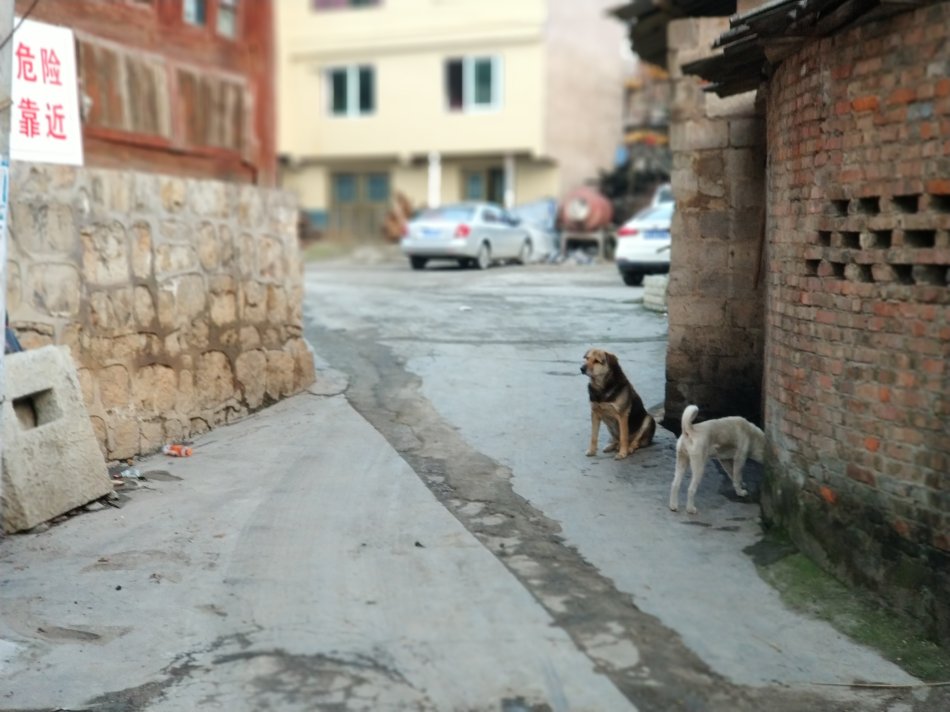 贵阳三大豪门,贵阳三大名门世家
