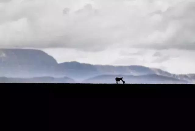 手机能存多少张照片,手机里千万别存的照片