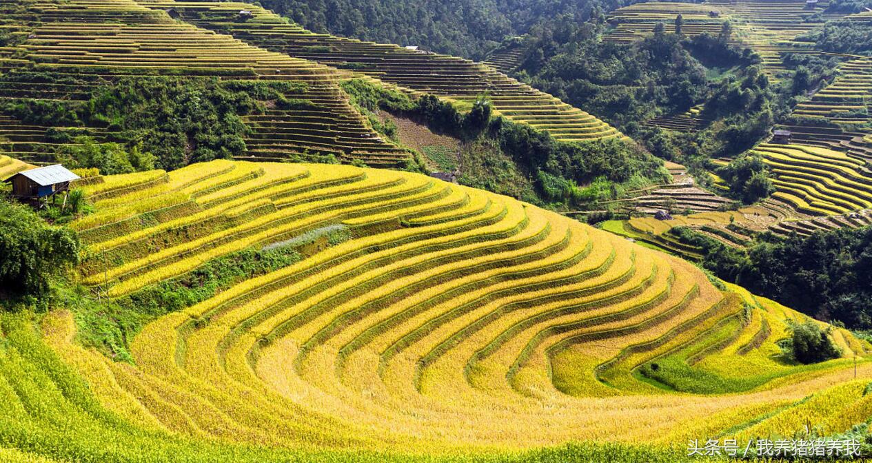 2019年可以申报的农业项目,2018下半年农业项目申报