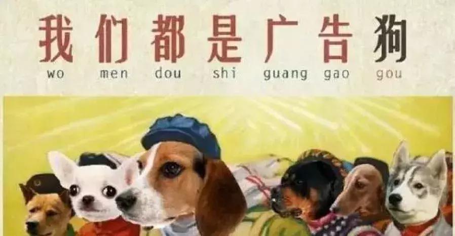 2019年度晒账单,2020年度晒账单的视频