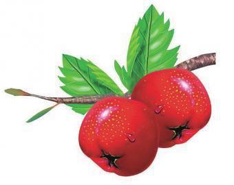 具有降低胆固醇的营养素是什么,不具有降血胆固醇作用的营养素是