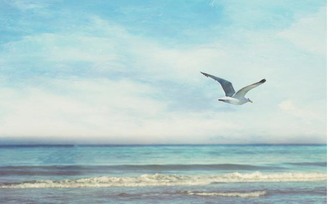 回调精准买入指标公式,通达信大阴买入指标公式