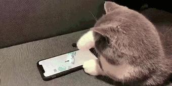 微信跳一跳怎么邀人,微信跳一跳怎么和好友玩