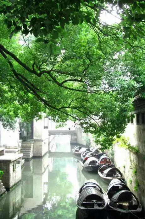 去看看鲁迅笔下的绍兴,鲁迅江南水乡绍兴