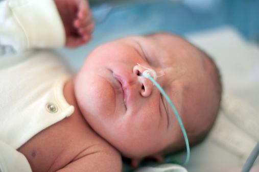 成猫猫咪溶血,猫咪也有血型