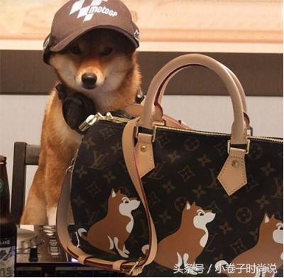 奢侈大牌贺岁,大牌狗年限定限量版