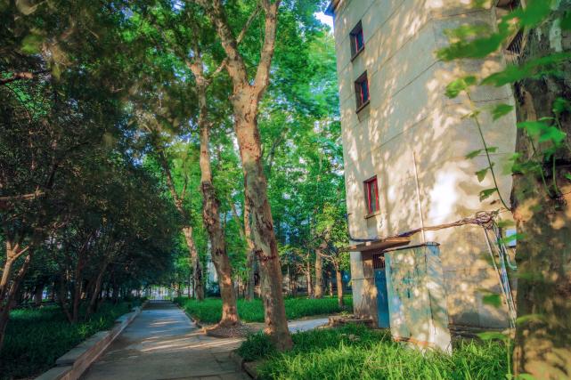 鏍″洯璇椾汉鏁ｆ枃,鏍″洯璇椾汉