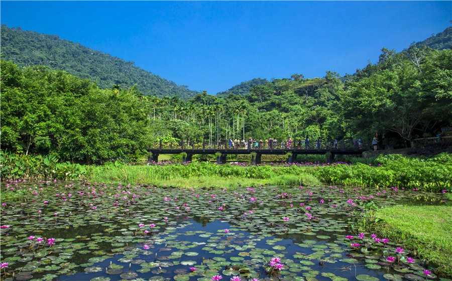 静谧山谷，流泉叠瀑︱呀诺达热带雨林