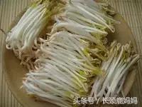 有机豆苗和西兰花营养,各种春季种的蔬菜苗