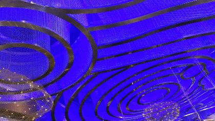 弘阳广场济南老板恋上鱼,济南老板恋上鱼价格