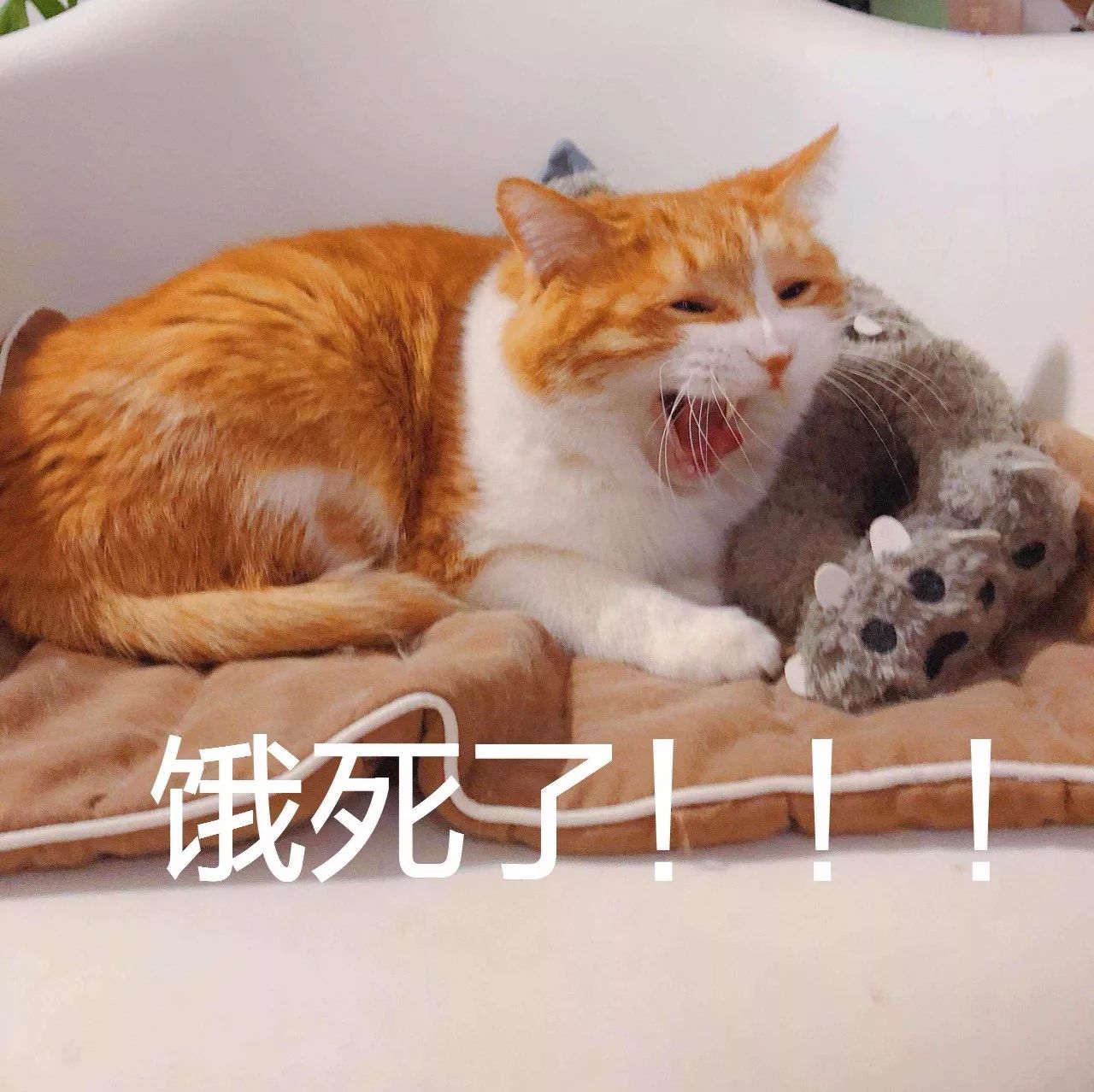 老外能不能放过中华风？我们的东西都被糟蹋成啥样了