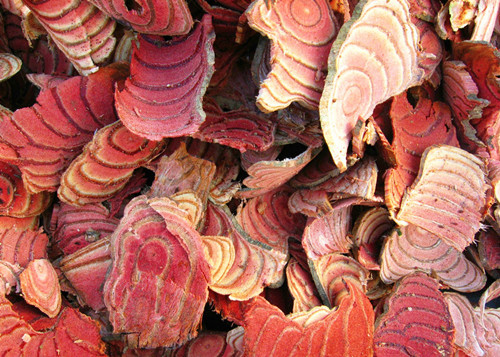 今日全国各大药材市场价格行情,近期药材市场行情走势