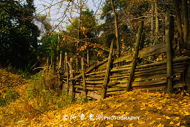 广东春节自驾云南游玩攻略,广东清远2021春节自驾短途游推荐