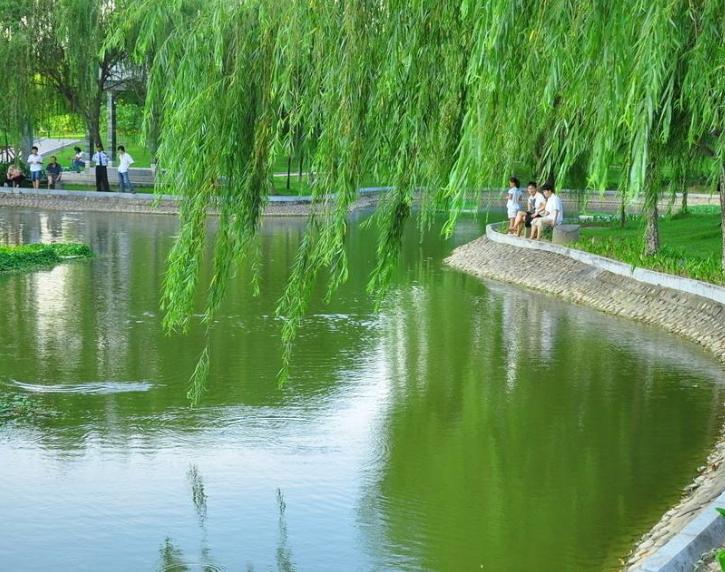 深圳宝安公园游玩攻略,深圳宝安最大的公园