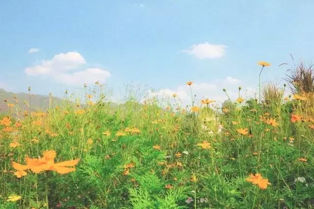 和你一起去普吉岛,想带你回普吉岛看海