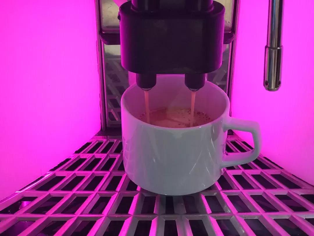 不用签证去日本,不用签证也能游全世界