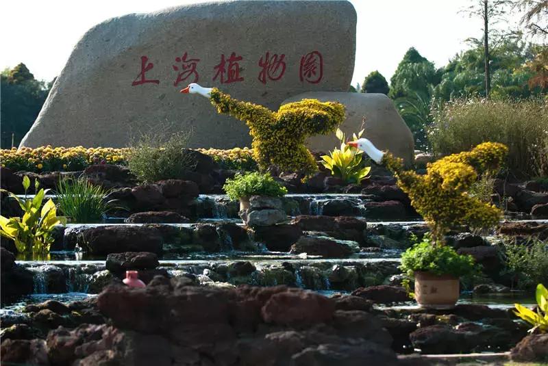 上海100个公园图片,上海有哪些免费的国家级公园