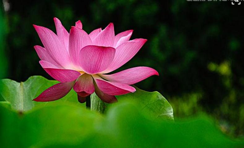 春花秋月夏夜冬雪解说,歌咏春夏秋冬的诗词