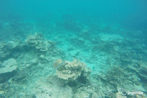 马尔代夫高性价比岛屿,马尔代夫一价全包岛有哪些