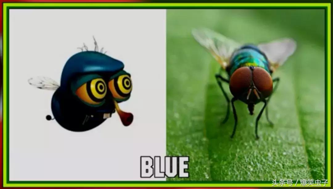 爆笑虫子小粉虫怎么来的,快速了解爆笑虫子