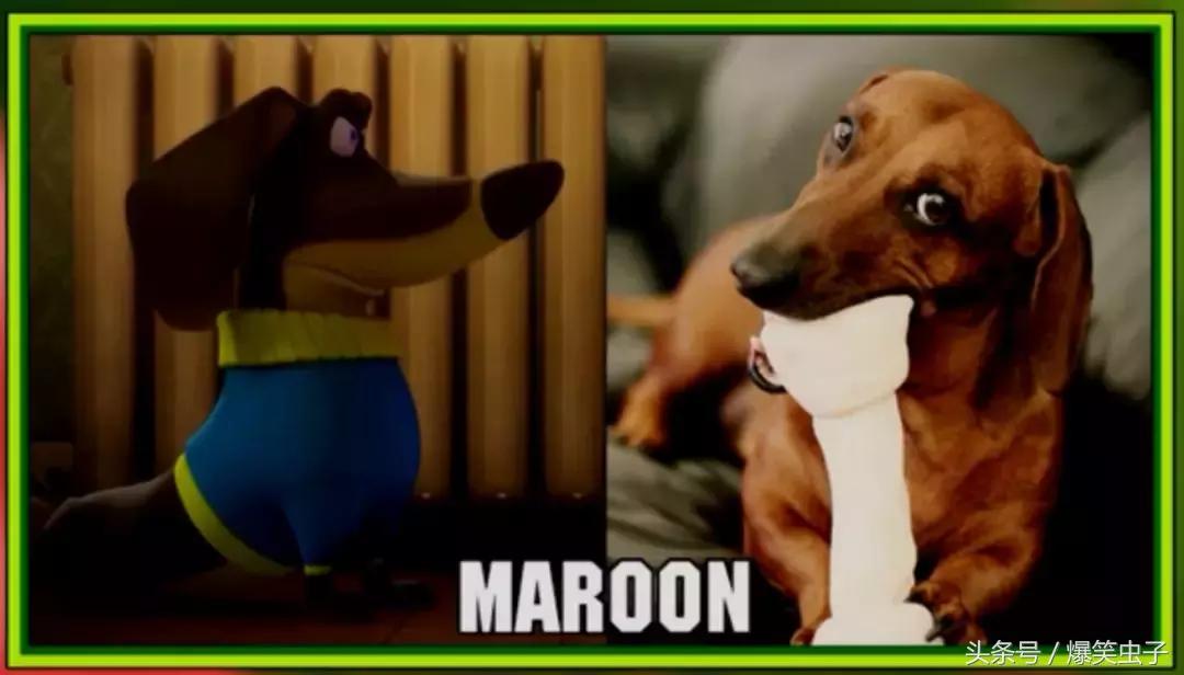 爆笑虫子小粉虫怎么来的,快速了解爆笑虫子