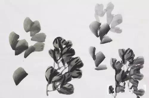 粉笔画牡丹画法简单,牡丹画法简单讲解太实用了