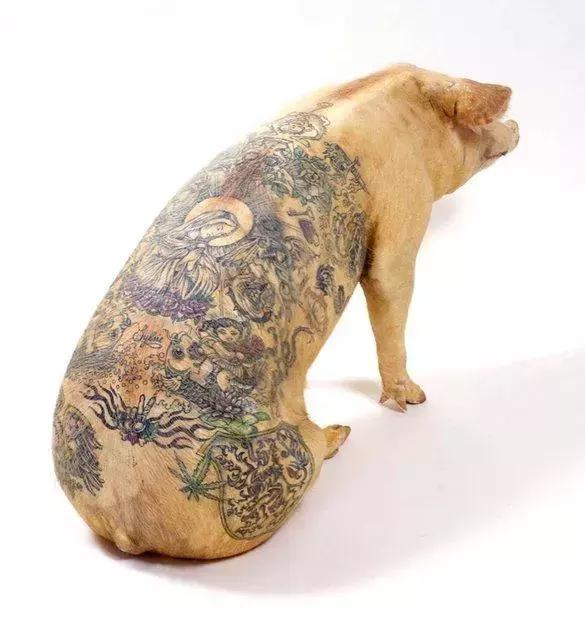 世界上最疯狂的纹身,最贵的纹身北京