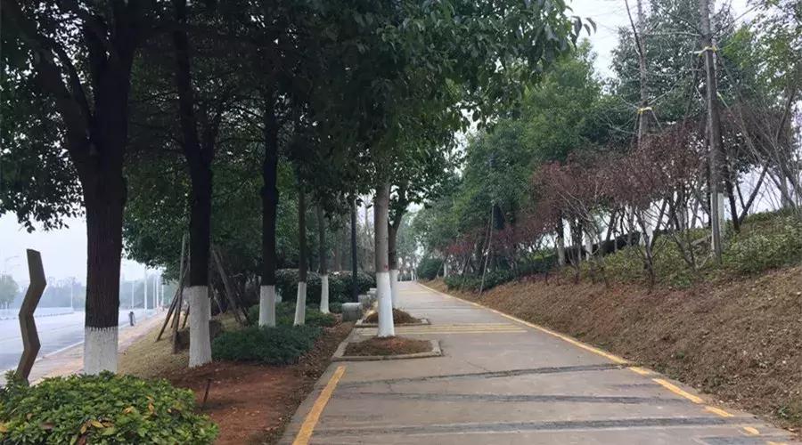 万科金域蓝湾长沙属于哪个板块,长沙万科金域蓝湾涨大水吗