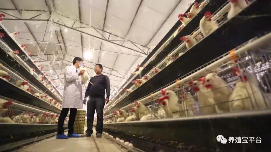 旭牧通创业,旭牧通2020年