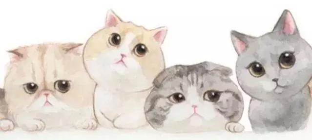 代沟无法逾越是什么原因,隔代育儿怎么沟通