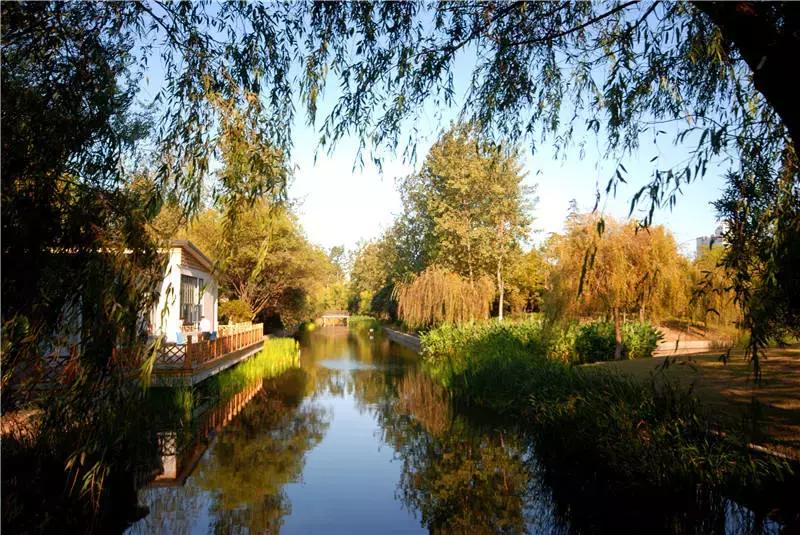 上海100个公园图片,上海有哪些免费的国家级公园