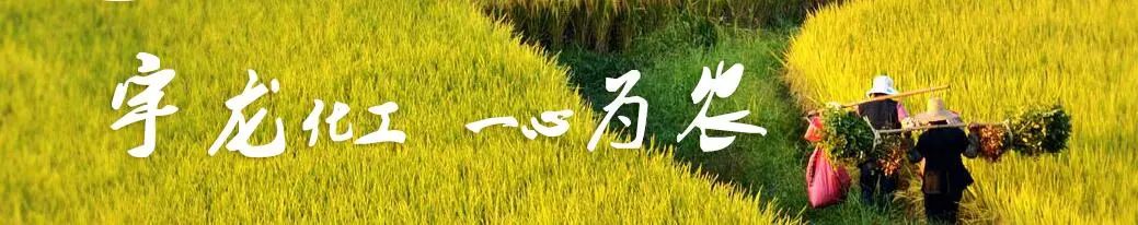 宇龙化工,宇龙化工怎么样