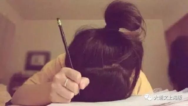 错别字大王,错别字大王暑期计划