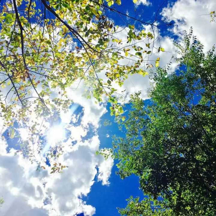 大理有哪几个景很美,大理的自然风光有哪些