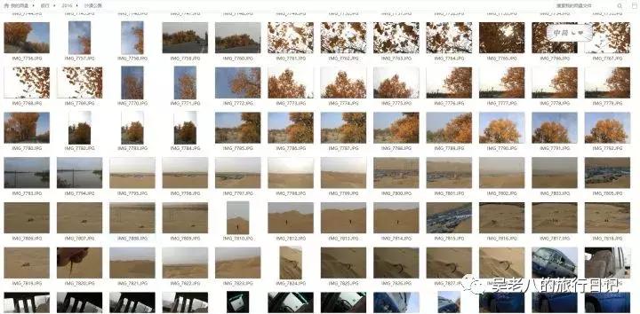 去大西北旅行的感悟,去西北旅行的感悟