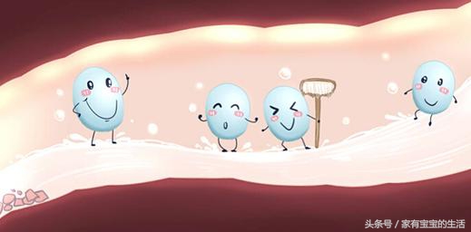 宝宝天天吃益生菌,宝宝天天喝益生元的益生菌好吗