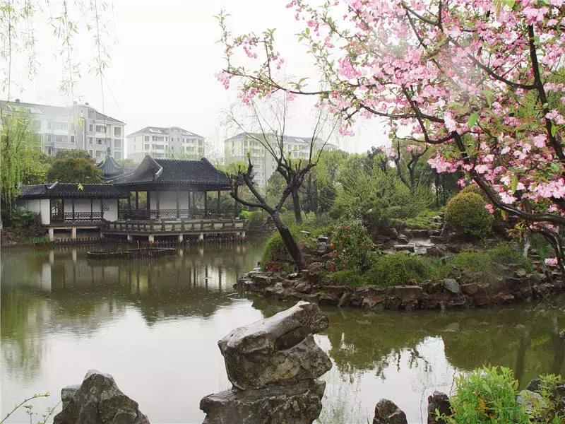 上海100个公园图片,上海有哪些免费的国家级公园