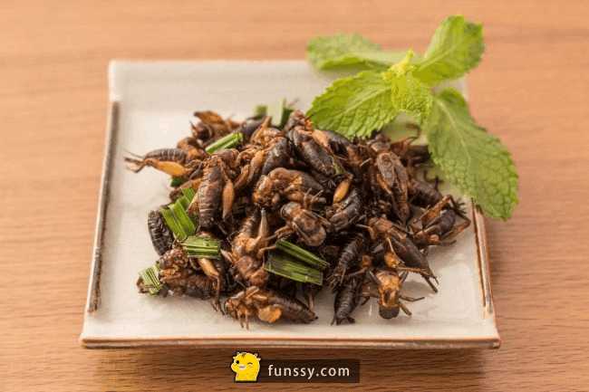 人类未来十大高科技,人类未来的十大科技