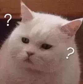 是平价品牌拯救了狗年限定啊啊啊啊！