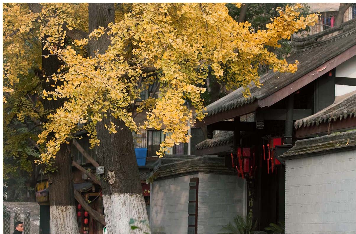 你家隔壁子可能住了个名人~快为你的“邻居”疯狂打call!