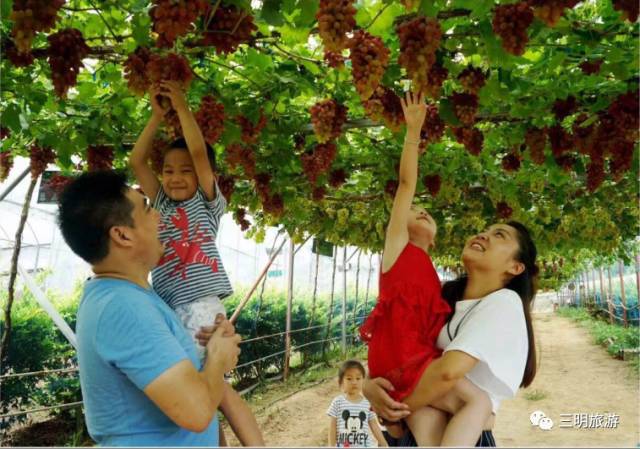 2018涓夋槑鏃呰鏃ュ巻,涓夋槑鏃呮父鏀荤暐鎬荤粨