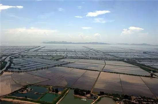 对话│它与港深隔海相望，即将迎来重要发展机遇！刘锐濠谈南朗梦想